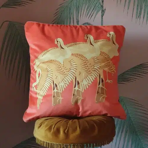 quirky cushion