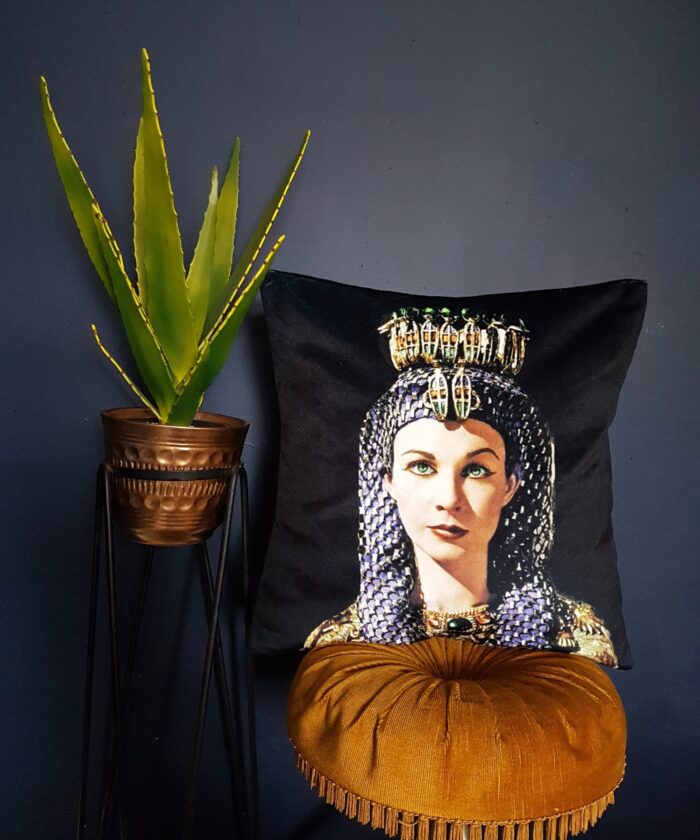 quirky cushion