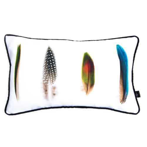 Feather Cushion