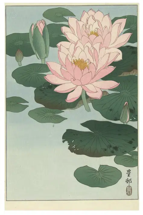 Flowering Water Lily