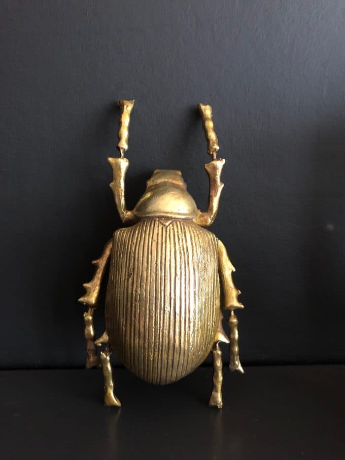 Medium Gold Beetle