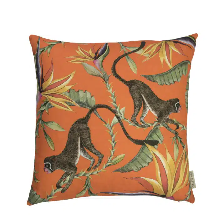 arty cushion