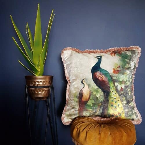 Peacock Cushion