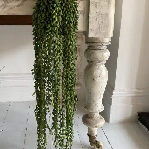 String of Pearls