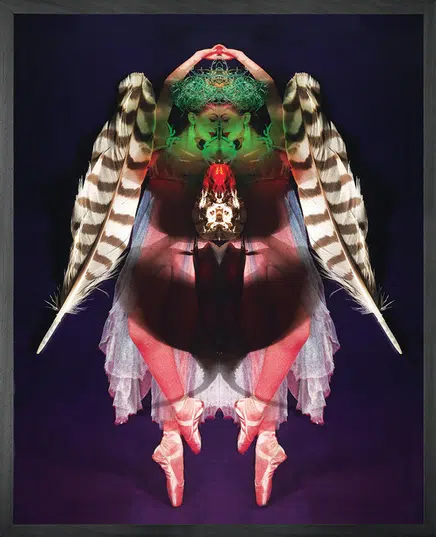Dancers Metamorphosis