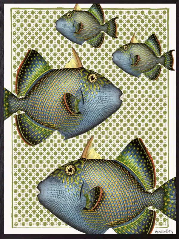 Green Fish