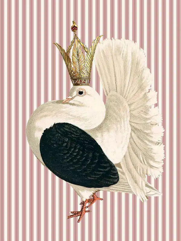 Queen Dove